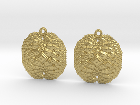 earrings in Natural Brass