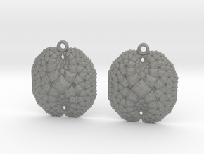 earrings in Gray PA12