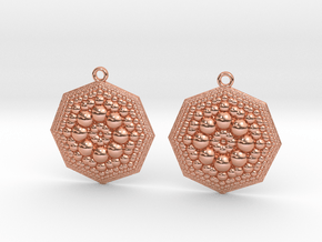 Earrings in Polished Copper