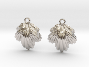 Seashell Earrings in Rhodium Plated Brass