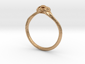 Skull & Bone Ring in Natural Bronze: 4 / 46.5
