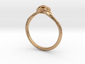 Skull & Bone Ring in Natural Bronze: 4.5 / 47.75