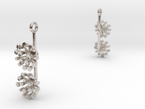 Earrings with two small flowers of the Fennel in Rhodium Plated Brass