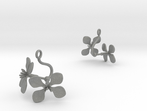 Earrings with two large flowers of the Radish in Gray PA12