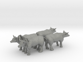 1-72nd Scale Oxen Set in Gray PA12
