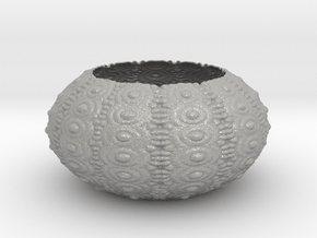 Sea Urchin Bowl in Aluminum