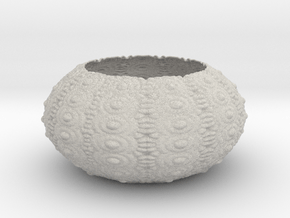 Sea Urchin Bowl in Standard High Definition Full Color