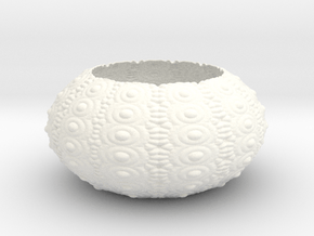 Sea Urchin Bowl in White Smooth Versatile Plastic