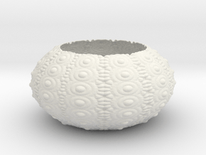 Sea Urchin Bowl in White Natural TPE (SLS)