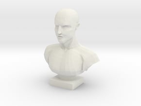 Bust of a Man in White Natural Versatile Plastic