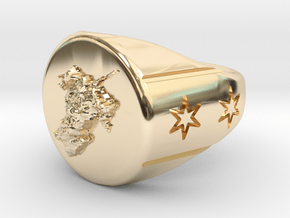 Chicago Rat Hole Signet Ring in 14K Yellow Gold