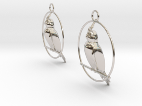 Cockatiel Earrings in Rhodium Plated Brass