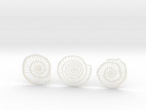 Foraminifera Coasters in White Smooth Versatile Plastic