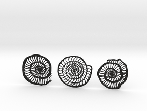 Foraminifera Coasters in Black Smooth Versatile Plastic