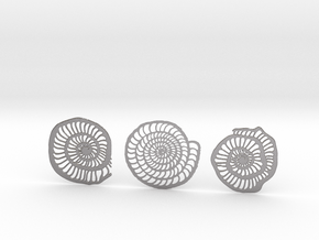 Foraminifera Coasters in Processed Stainless Steel 316L (BJT)