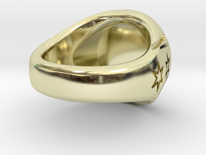 Chicago Rat Hole Signet Ring in 14k Gold Plated Brass