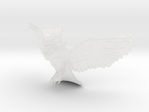 Owl Noble in Clear Ultra Fine Detail Plastic
