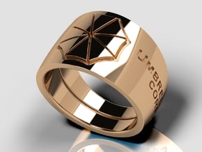 Umbrella Corporation Ring in Polished Bronze: 10 / 61.5