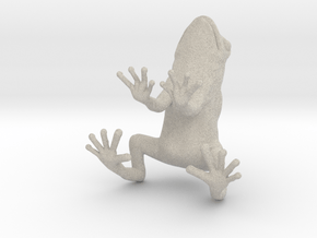 frog 2cm in Natural Sandstone