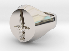 Rouge Signet Ring in Rhodium Plated Brass: 9 / 59