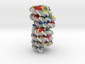 Telomeric Chromatin 7v9k in Matte High Definition Full Color: Extra Small