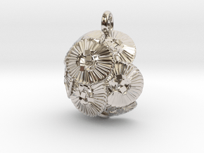 Coccolithus Pendant - Science Jewelry in Rhodium Plated Brass