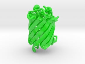 Green Fluorescent Protein 1EMA in Smooth Full Color Nylon 12 (MJF): Medium