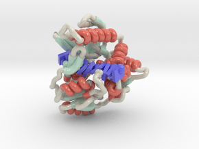 Phage T4 Helicase bound to Single Stranded DNA in Smooth Full Color Nylon 12 (MJF): Medium