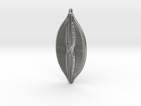 Navicula bullata Pendant ~ 46mm tall (1.8 inches) in Natural Silver