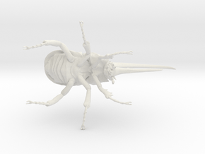 Herculesbeetle10scaled Fixed Hollow .6mmhole in White Natural Versatile Plastic