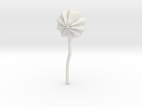 flower01 scaled in White Natural Versatile Plastic