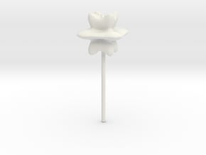 flower10 scaled in White Natural Versatile Plastic