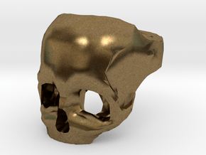 Skull Ring US 9 in Natural Bronze