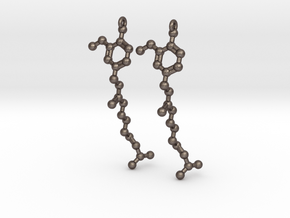 Earrings (Pair)- Molecule- Capsaicin in Polished Bronzed Silver Steel