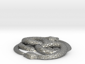 3D-Printed AURYN Medallion in Natural Silver