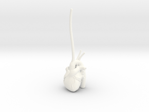 Anatomical Heart Ring Holder in White Processed Versatile Plastic