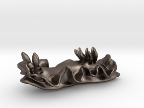 Becia the Nudibranch in Polished Bronzed-Silver Steel: Medium