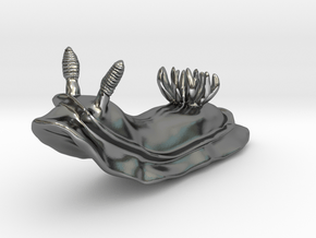 Lani the Nudibranch in Polished Silver