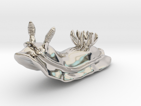 Lani the Nudibranch in Rhodium Plated Brass