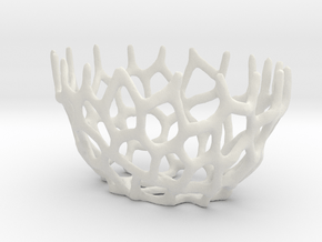Corals on your table in White Natural Versatile Plastic