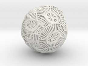 Emiliania Huxleyi Coccolithophore in White Natural Versatile Plastic