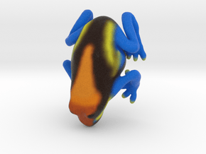 Orange Poison Arrow Frog in Full Color Sandstone