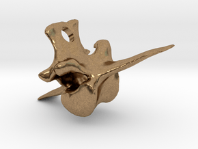 Vertebra #8 40mm with 4mm Hole  in Natural Brass