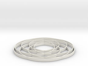 torus knot  fantasy 7-6 2D in White Natural Versatile Plastic