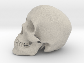 Detailed Human Skull (Life sized) in Natural Sandstone