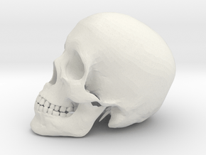 Detailed Human Skull (Life sized) in White Natural Versatile Plastic
