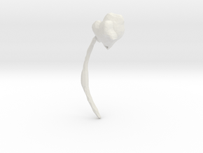 Archipelis Designer Model in White Natural Versatile Plastic