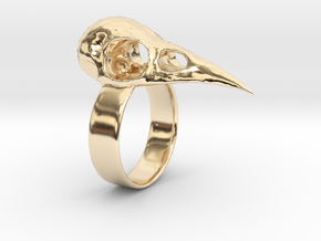 Realistic Raven Skull Ring - Size 11 in 14K Yellow Gold