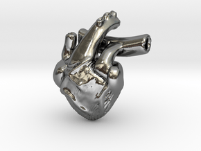 Human Heart in Polished Silver