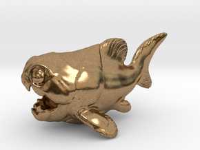 Dunkleosteus Chubbie 1 in Natural Brass